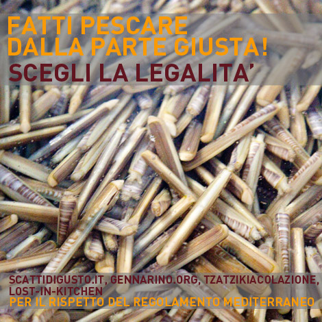 campagna-pesca-legale-regolamento-mediterraneo-01