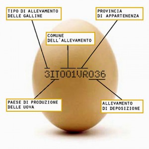 etichettatura-uova