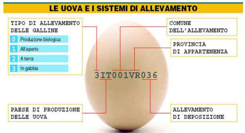 etichette-uova