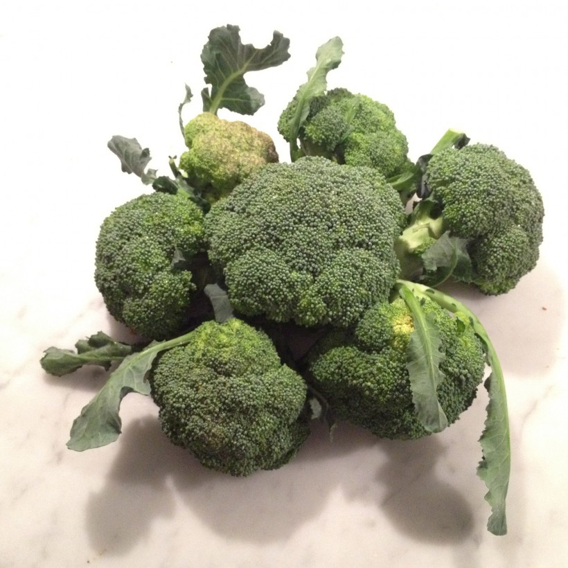 broccoli-casone-q