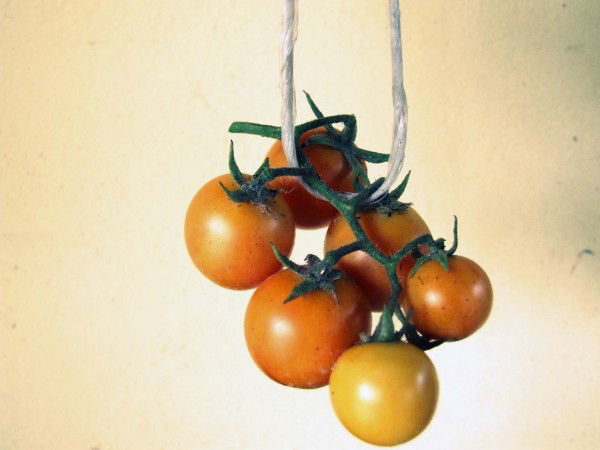 come-fare-i-pomodori-appesi-02