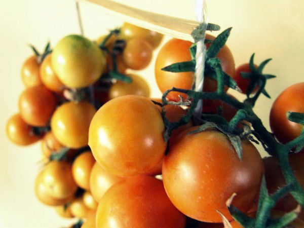 come-fare-i-pomodori-appesi-05