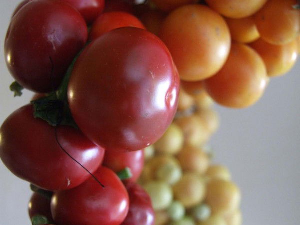 come-fare-i-pomodori-appesi-07