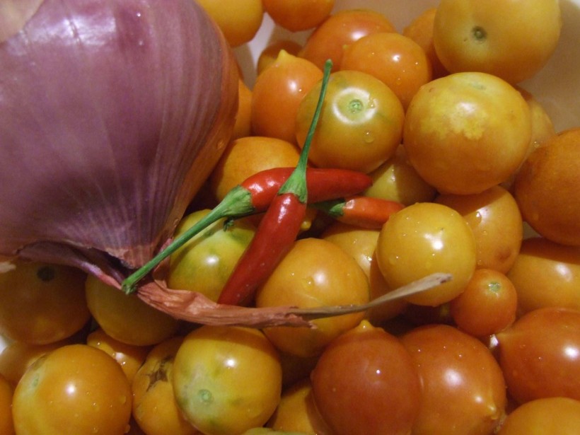 pomodori-gialletta