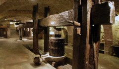 Museo-del-vino-di-Torgiano