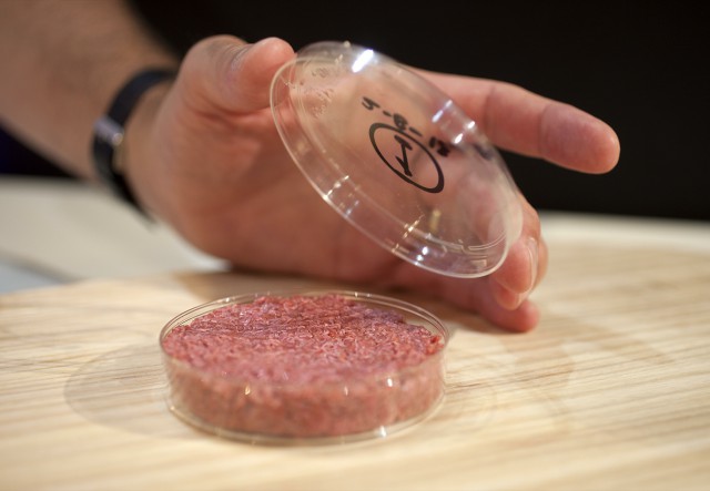 hamburger di carne artificiale preparazione 01