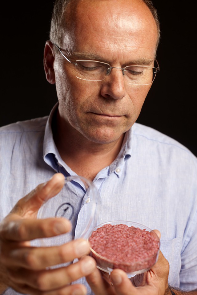 hamburger di carne artificiale preparazione 03