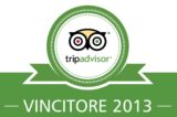 tripadvisor 2013