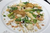 Del Cambio_Vegetale