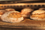 pane davide longoni