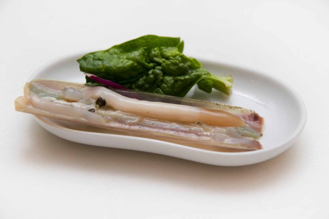 cannolicchio