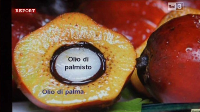 olio di palmisto