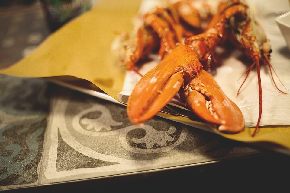 Lobster