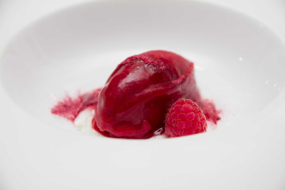 gelato al lampone con yogurt