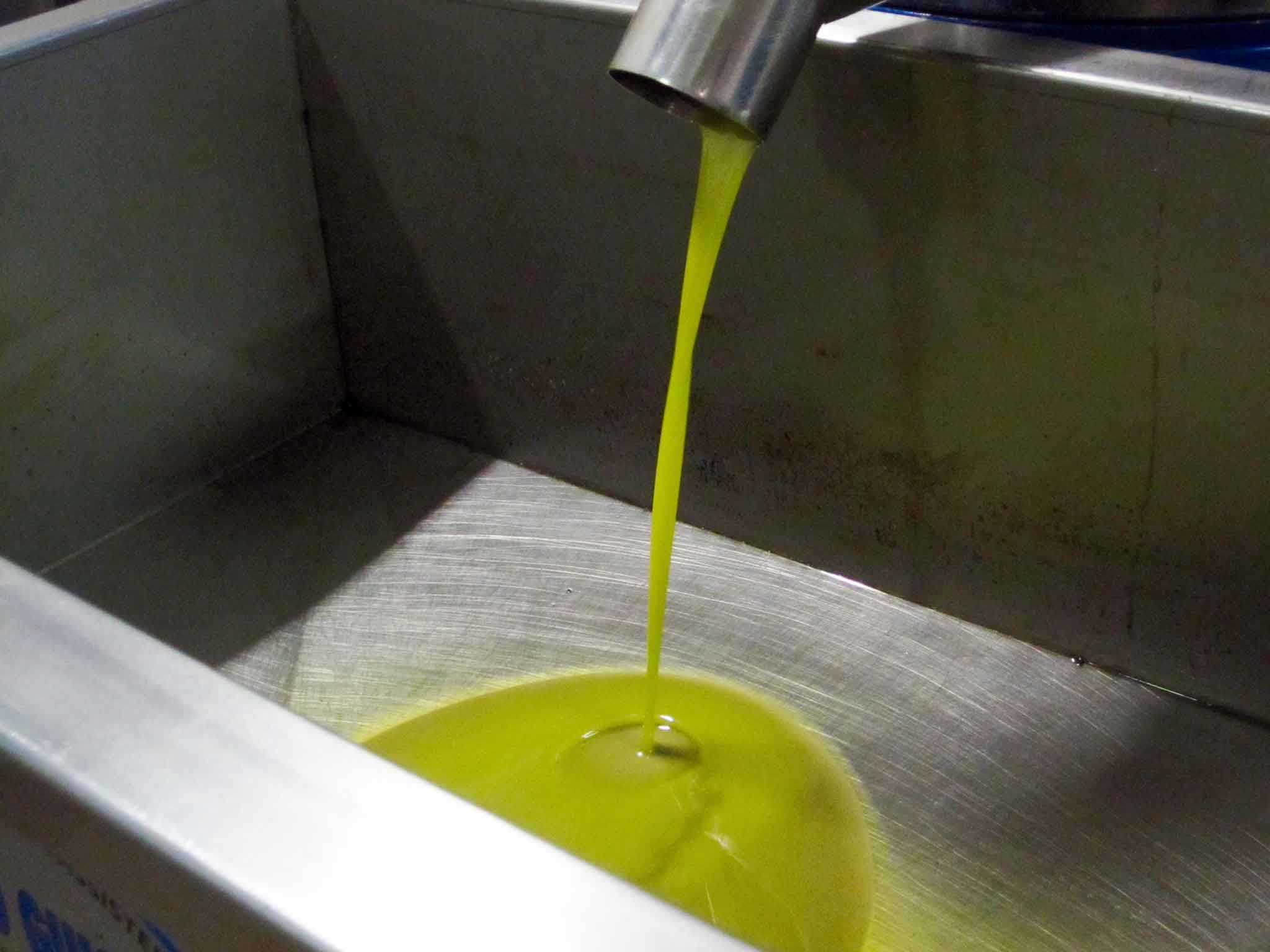 olio oliva estrazione