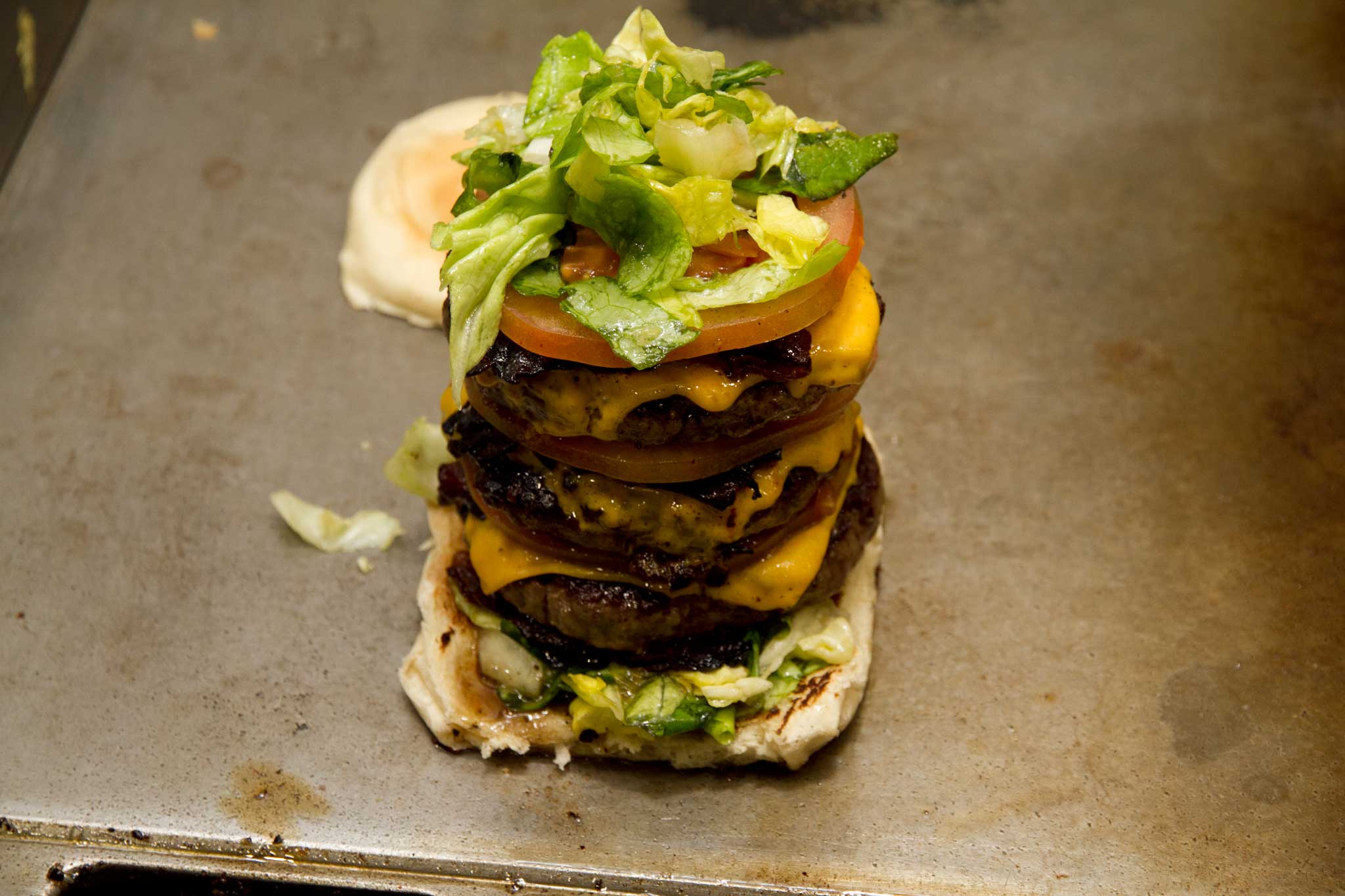 hamburger Tortora