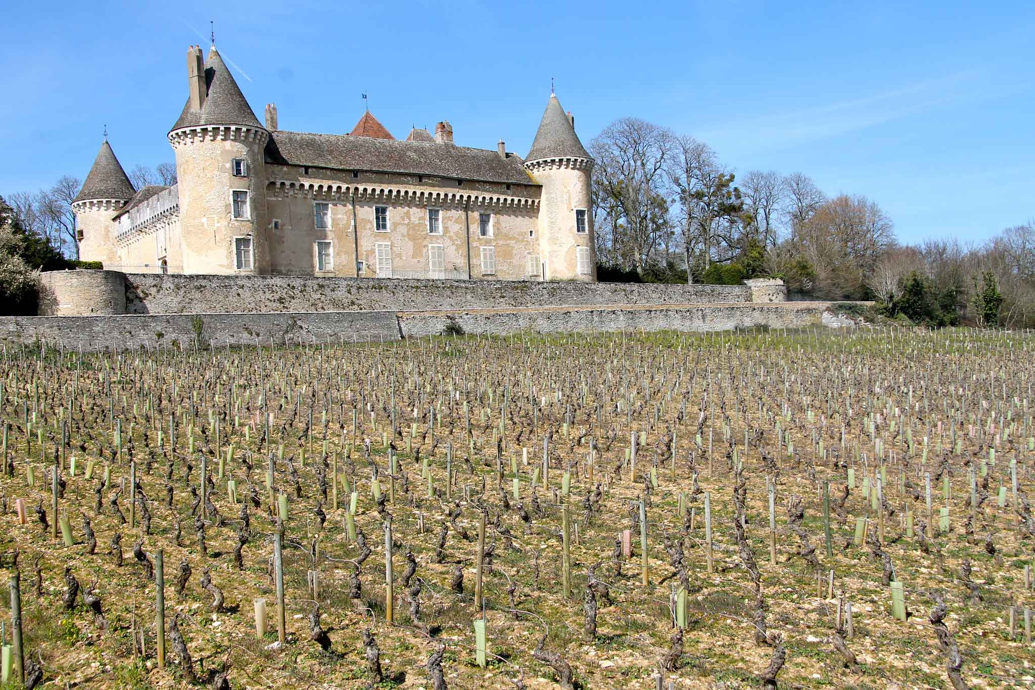 castello in Borgogna