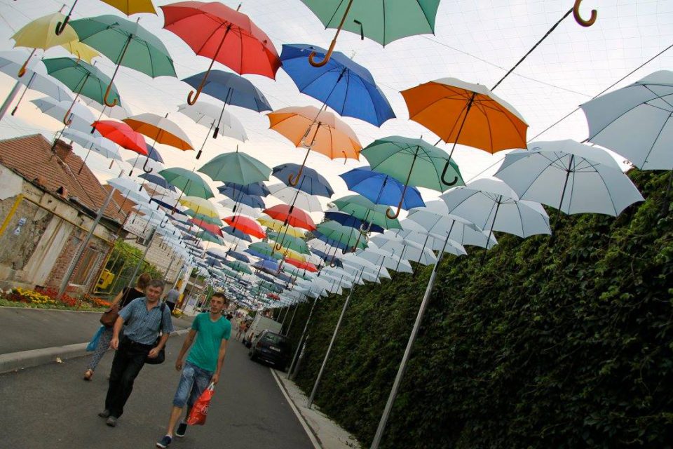 romania paesaggio ombrelli