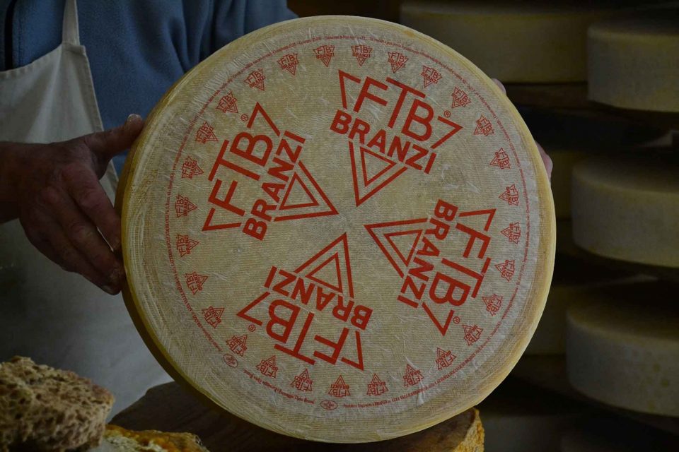branzi-formaggio