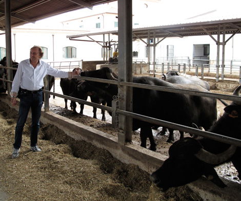 Falsi veleni e vera bufala, parla Gennaro D’Alessio