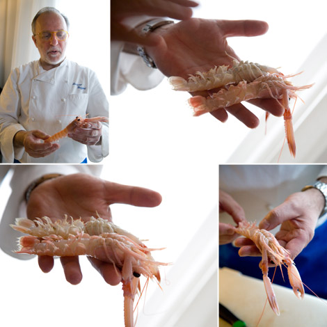 zazzeri-pesce-crudo-distinguere-scampi