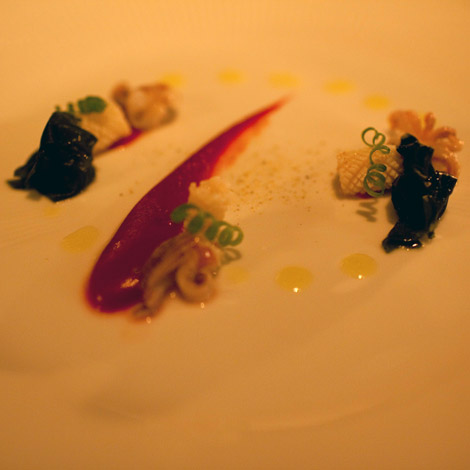 Dom-Atala-Brasile-1-calamari