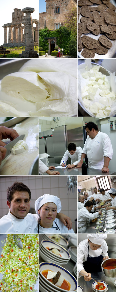 Gennaro-Esposito-chef-Paestum-bufala-1