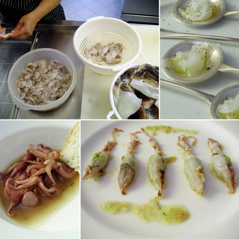 franca-checchi-romano-viareggio