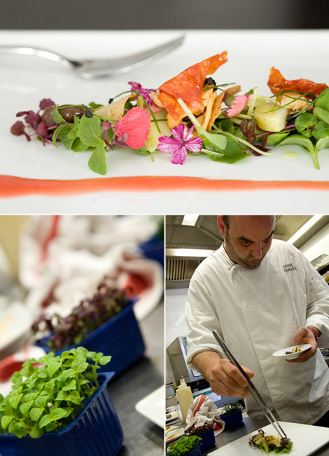 gionata-rossi-ristorante-viareggio-insalata