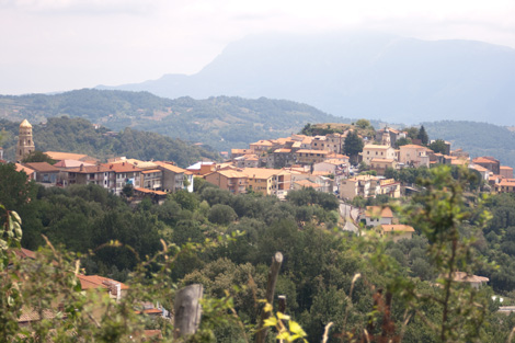 cuccaro-vetere