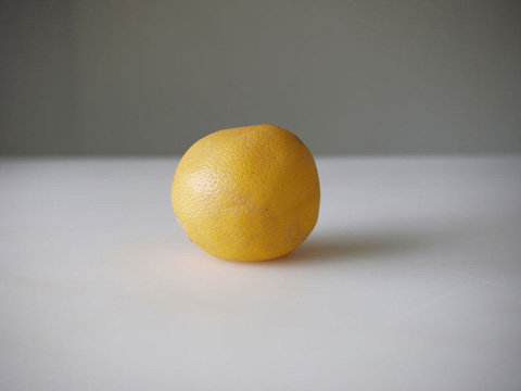 Jonathan-Blaustein-pompelmo