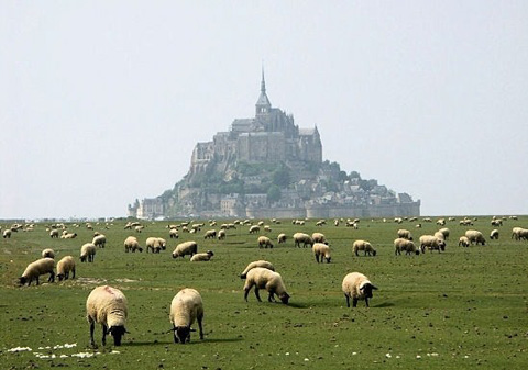 pre-sale-mont-saint-michel-