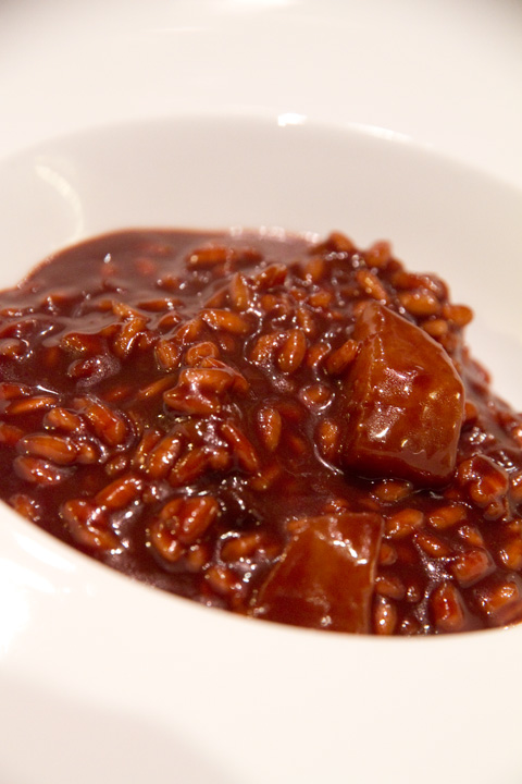ricetta-risotto-cioccolato-piatto-2