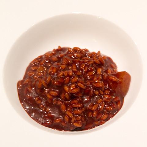 ricetta-risotto-cioccolato-piatto