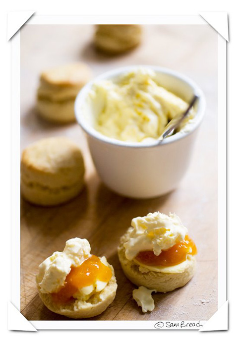 Clotted-Cream-Scone-by-Sam-Breach