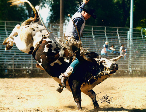 rodeo-news.boisestate