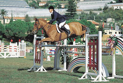 salto-equitando.com