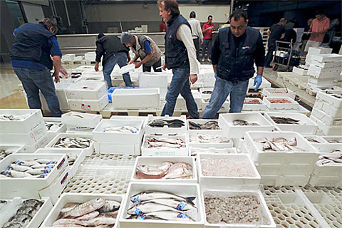 sequestro-pesce