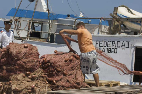 Tonno rosso e bianchetti. L’Italia maglia nera per la pesca illegale