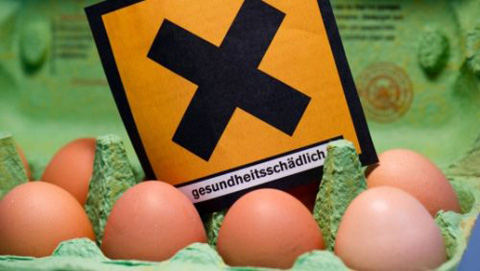 uova-diossina-Germania-epa