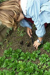 E’ in arrivo l’agri-nido. Per i bambini della generazione Fruttolo