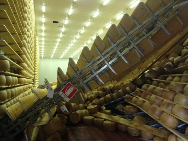 Milano. Comprare il parmigiano reggiano per il terremoto con una mail