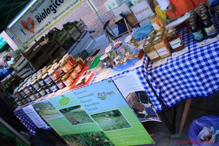 Bologna. Vieni a conoscere il Mercato della Terra ogni lunedì sera