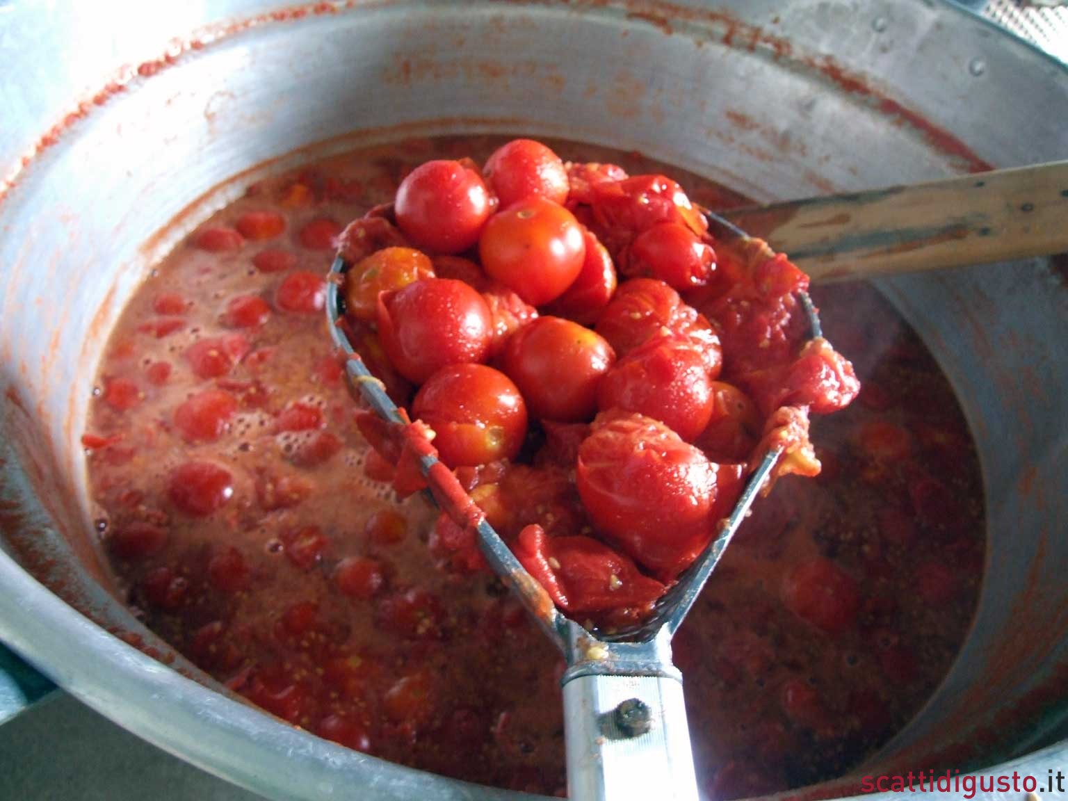 Pomodoro. Preparare a casa la salsa e la conserva, anche sotto sale