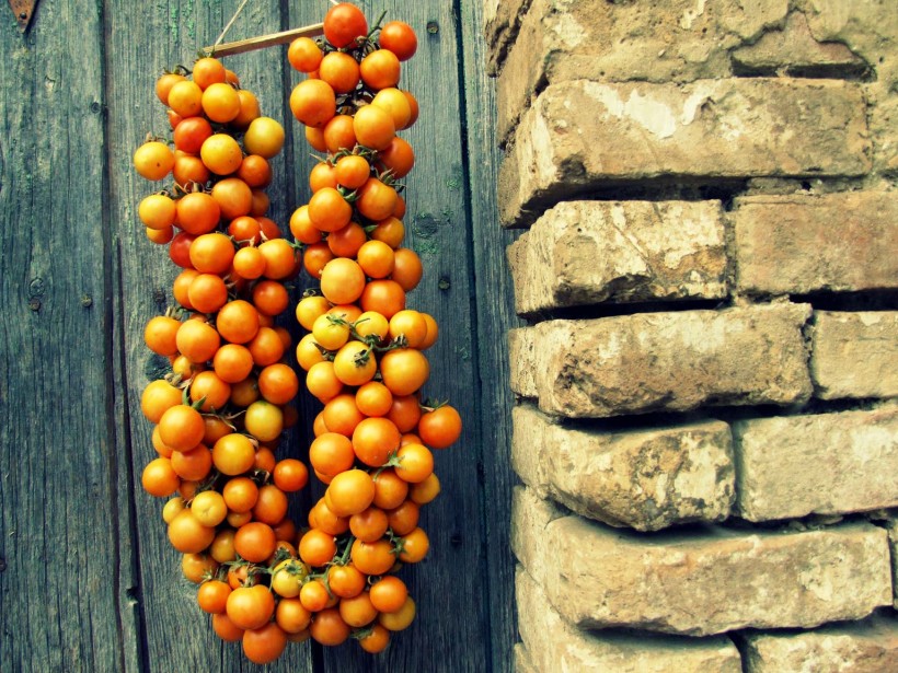 Pomodori Conservarli Appesi Come Il Piennolo