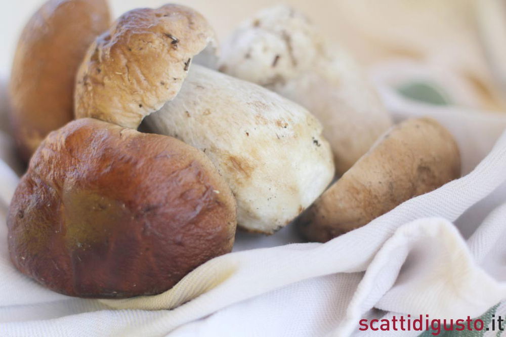 I migliori funghi porcini preparali con la ricetta vegan e con il tofu