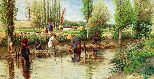 coltivazione agricola canapa