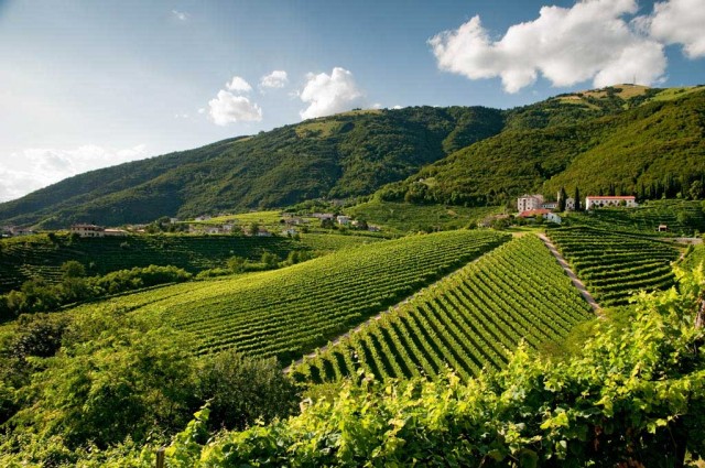 La-Primavera-del-Prosecco