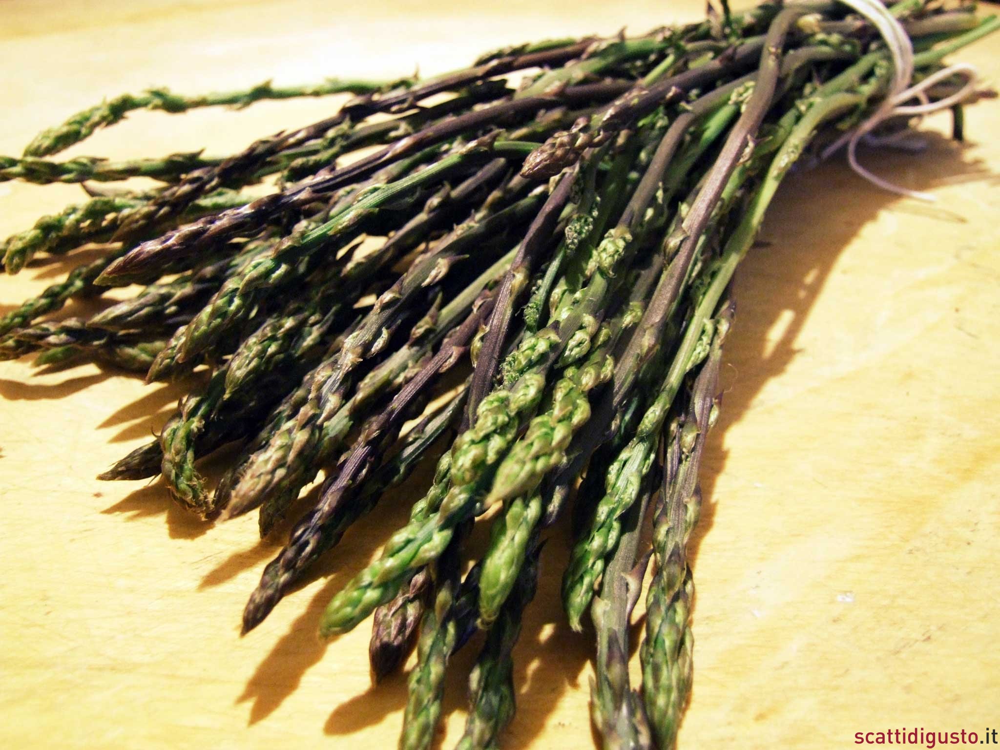 asparagi selvatici