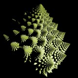 broccolo romanesco ph aninfo.page